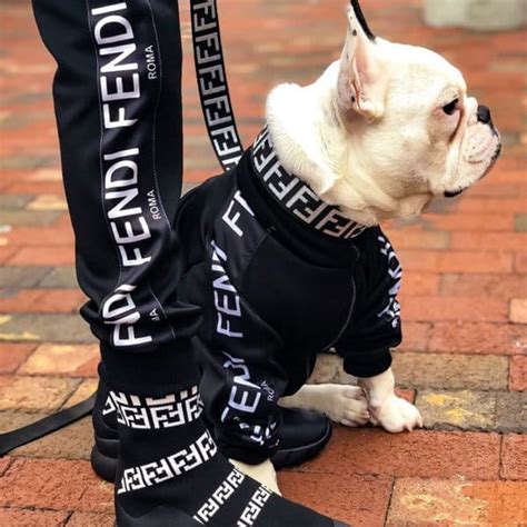 fendi dog harness.